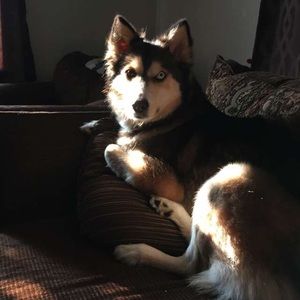 Meet your Posher, Colton